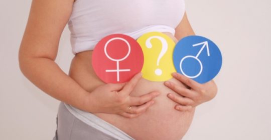 تحديد جنس المولود قبل الحمل بين العلم والمطلب الاجتماعي والرأي  الشرعي